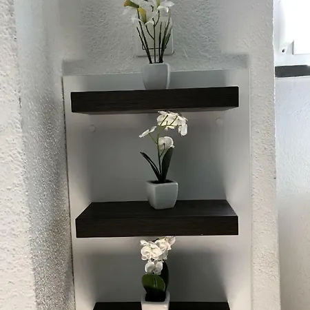 Station Between Dragon And Triple Bridges * 류블랴나