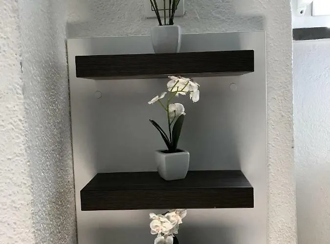 Station Between Dragon And Triple Bridges * リュブリャナ